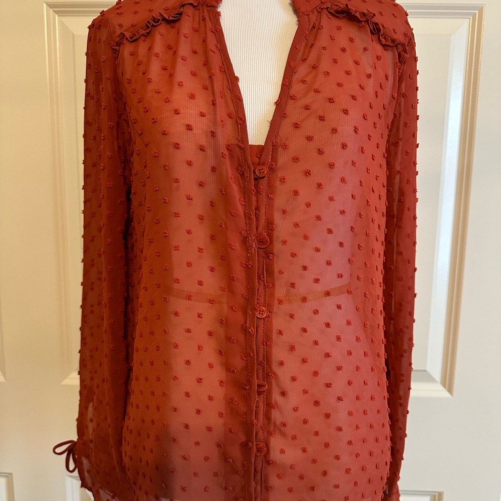 Sheer Orange Button-Up Blouse